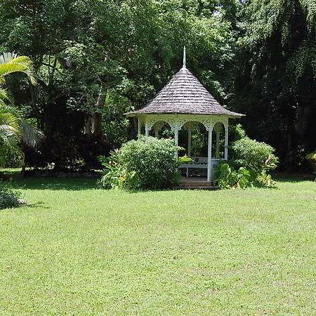 Inn At Shaw Park Gardens & Waterfalls Ocho Rios Exteriér fotografie