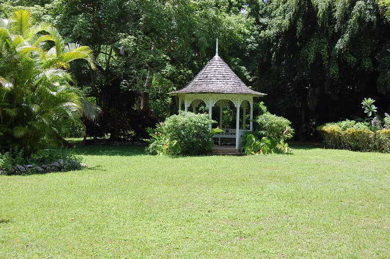 Inn At Shaw Park Gardens & Waterfalls Ocho Rios Exteriér fotografie