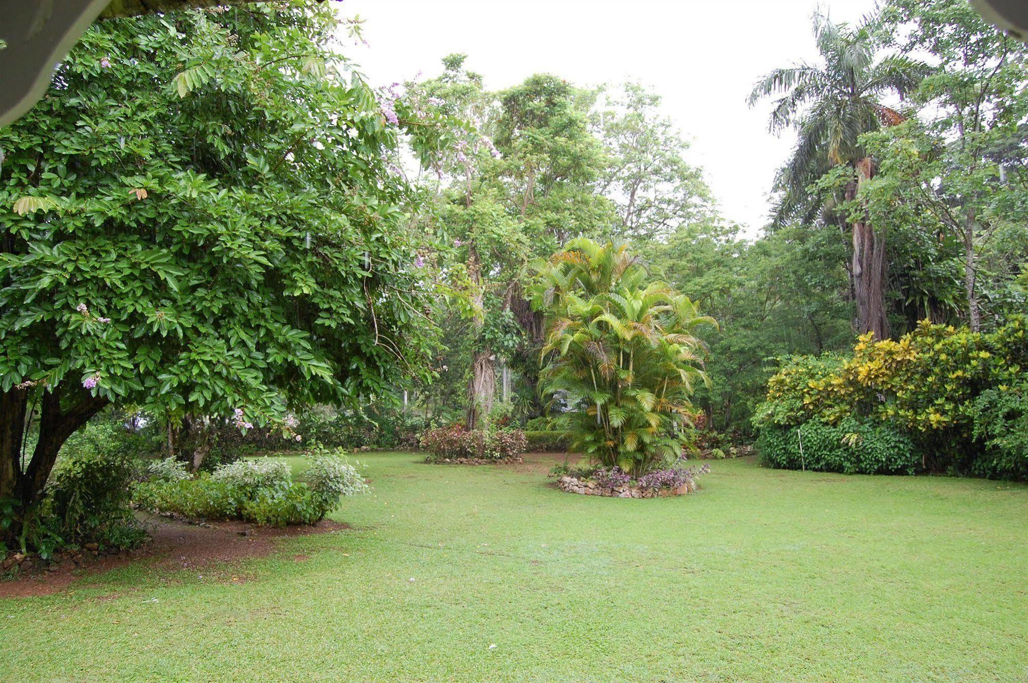 Inn At Shaw Park Gardens & Waterfalls Ocho Rios Exteriér fotografie