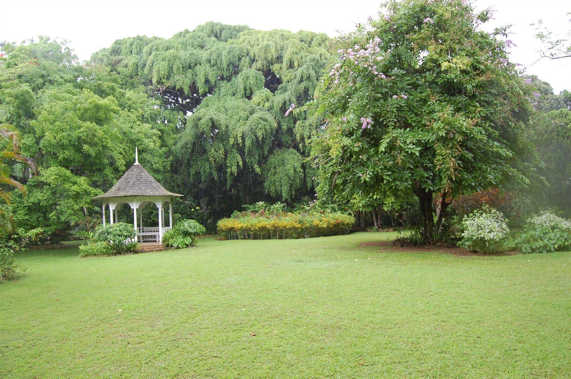 Inn At Shaw Park Gardens & Waterfalls Ocho Rios Exteriér fotografie