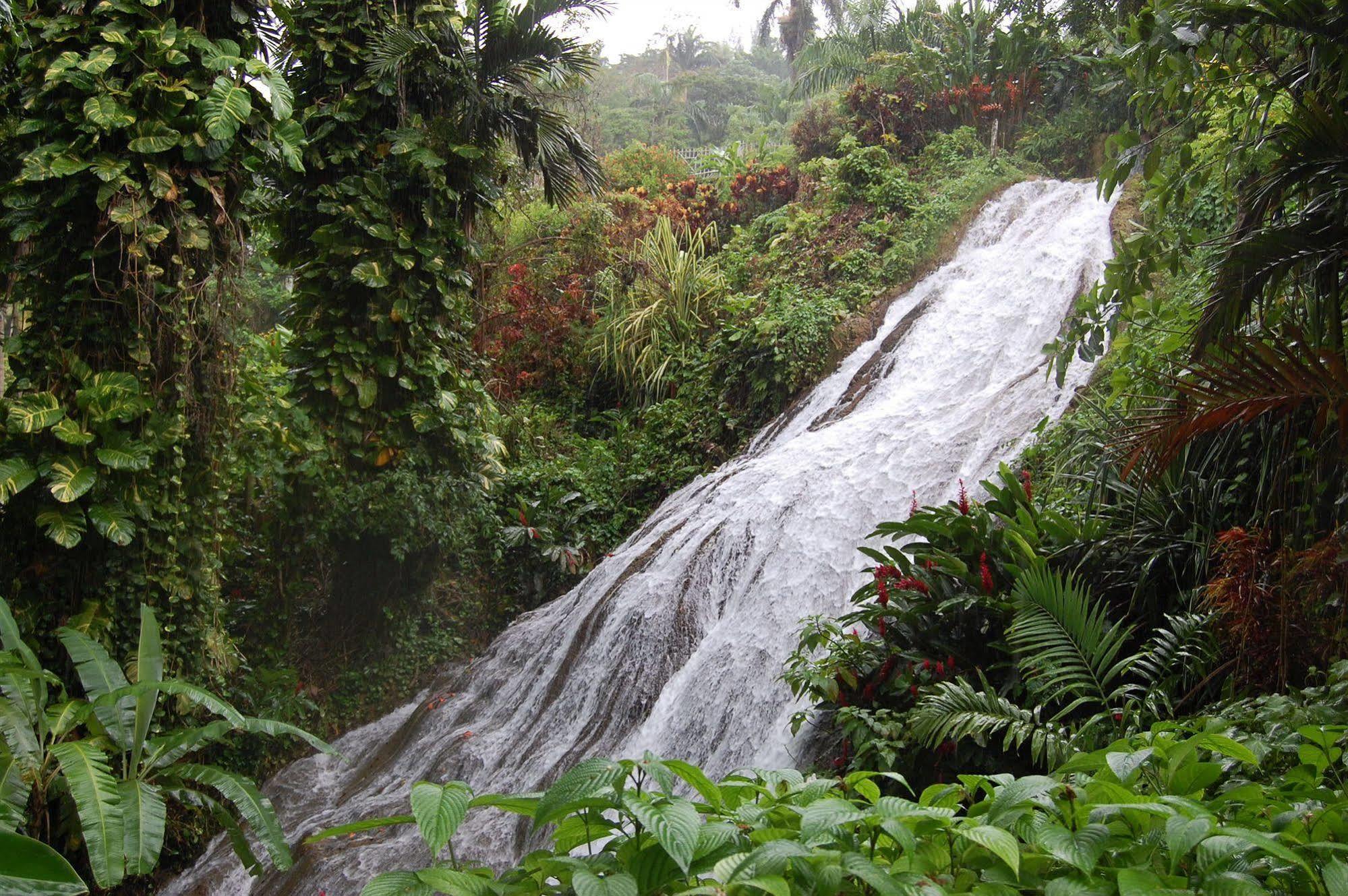 Inn At Shaw Park Gardens & Waterfalls Ocho Rios Exteriér fotografie